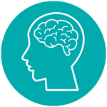 AP/IB/Cambridge Exam Pathway Option Icon