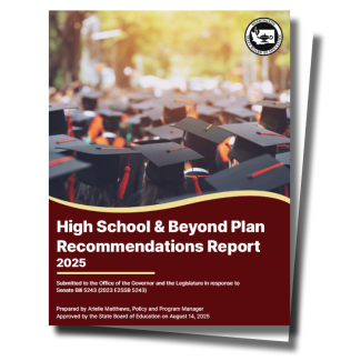 High School and Beyond Plan Report